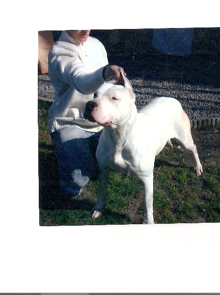 CH. Valentina Cazador del Pampa