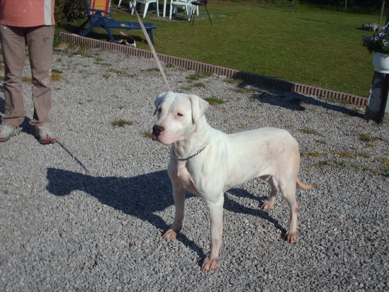 CH. Valentina Cazador del Pampa