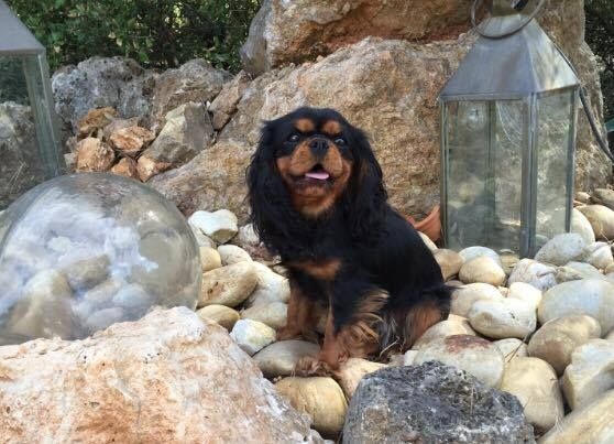 Publication : de Stophiane Auteur : Doriane