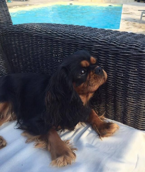 Publication : de Stophiane Auteur : Doriane