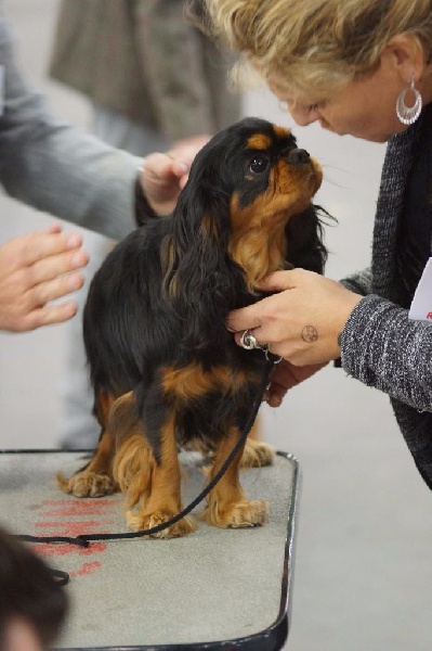 Publication : de Stophiane Auteur : Doriane