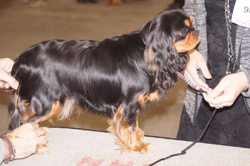 Publication : de Stophiane Auteur : Doriane