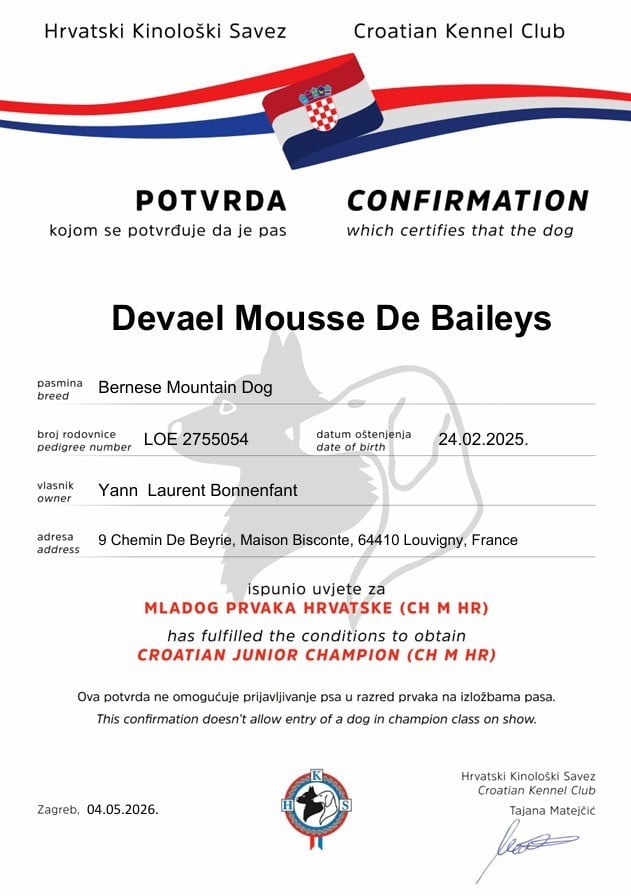 CH. devael Mousse de baileys