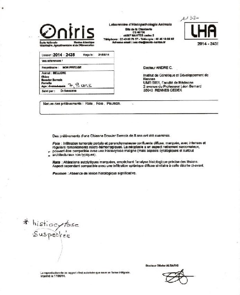 Publication : D'Ainhoa Auteur : BONNENFANT YANN