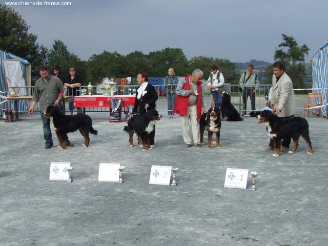 Bellone du Haras de la Vergne - 4ème excellent