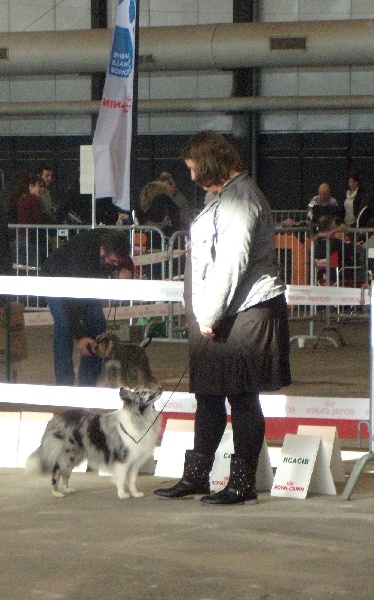 Inoki argentee des deux étoiles - P