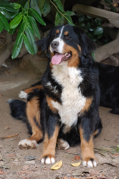 Publication : Du domaine de florange