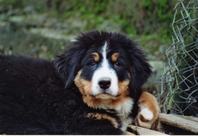 Publication : Du domaine de florange