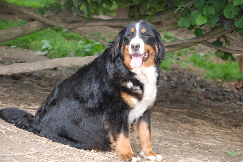 Publication : Du domaine de florange