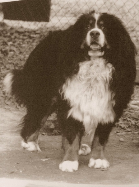 Publication : Du domaine de florange