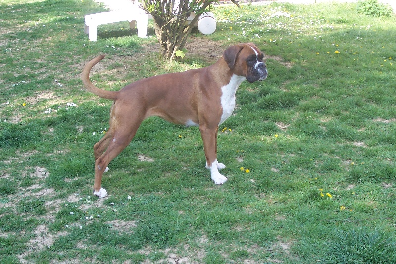 Publication : des Quatre Noyers