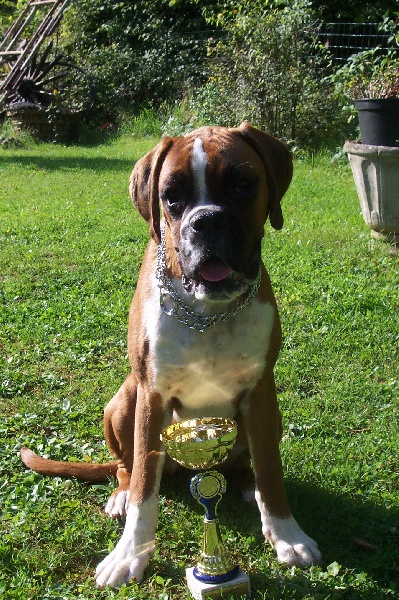 Publication : des Quatre Noyers