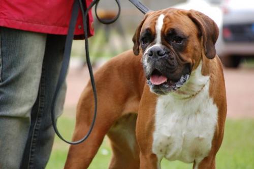 Publication : des Quatre Noyers