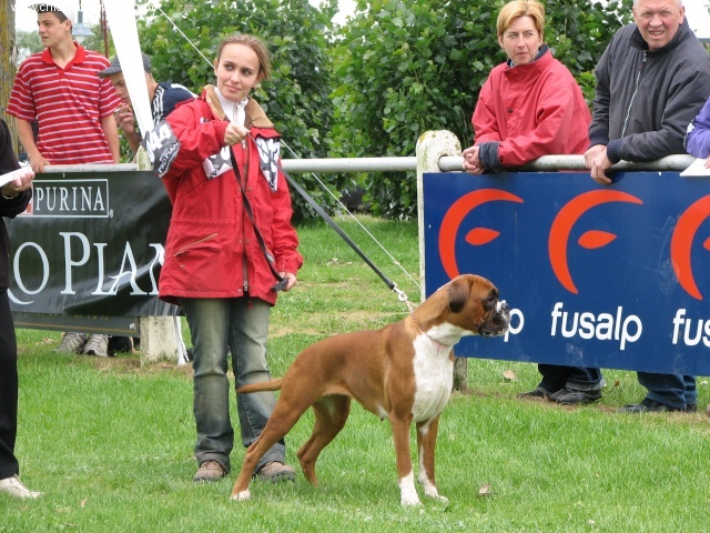 Bridjet de la tribu du vent - 2 ème excellent en classe jeune