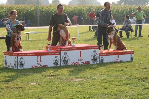 Bridjet de la tribu du vent - 2ème Très Bon