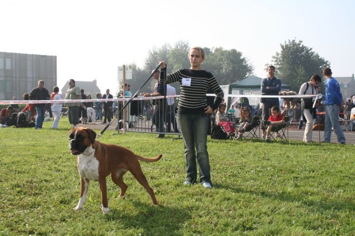 Bridjet de la tribu du vent - 1 Excellent et CACS