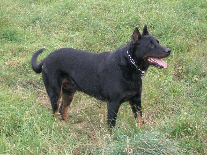 Publication : de la terre des ombres