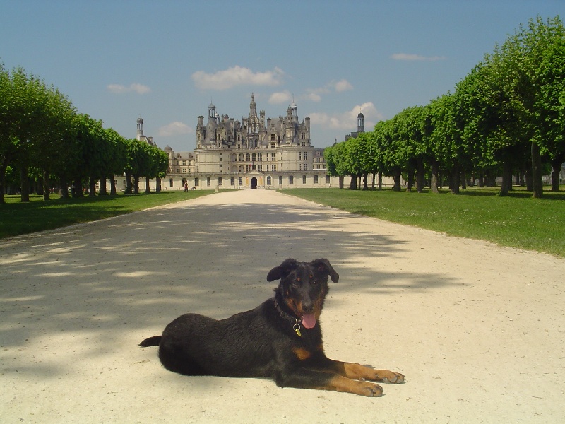 Publication : de la terre des ombres Auteur : suzanne raibaut