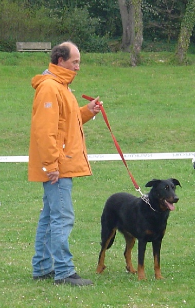 Calypso de la terre des ombres - 1ère classe jeunes femelles exc en morphologie/exc en caractère cotation 3