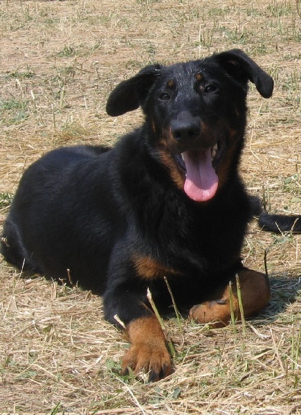 Calypso de la terre des ombres - très prometteur