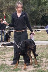 Calypso de la terre des ombres - 1ère TP classe débutant femelle