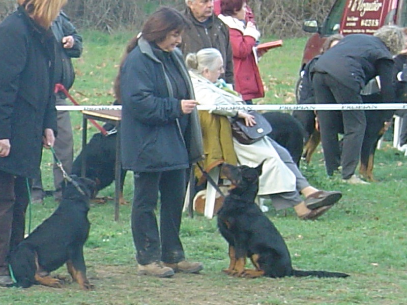 Calypso de la terre des ombres - 2ème place classe baby