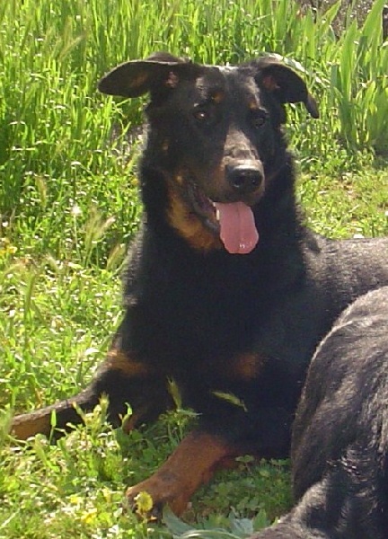 Calypso de la terre des ombres - 1ère en classe jeune