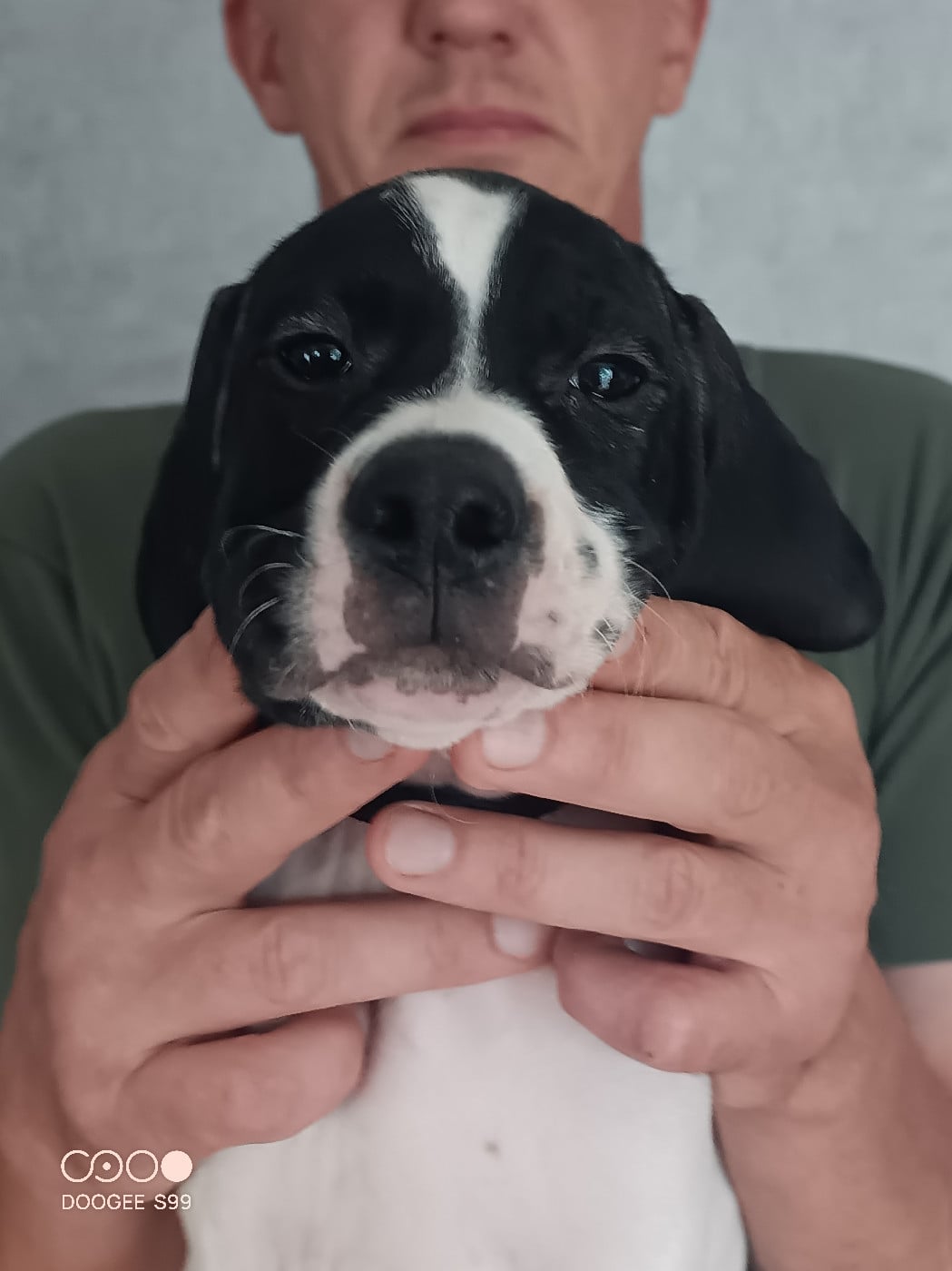 BOWIE