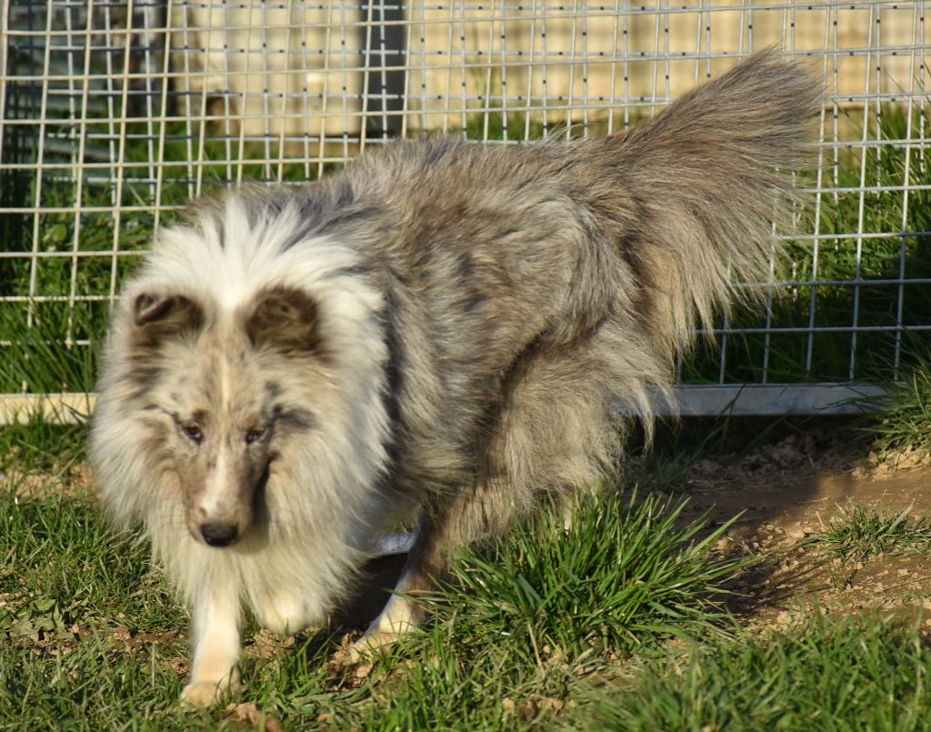 Publication : De la combe berail