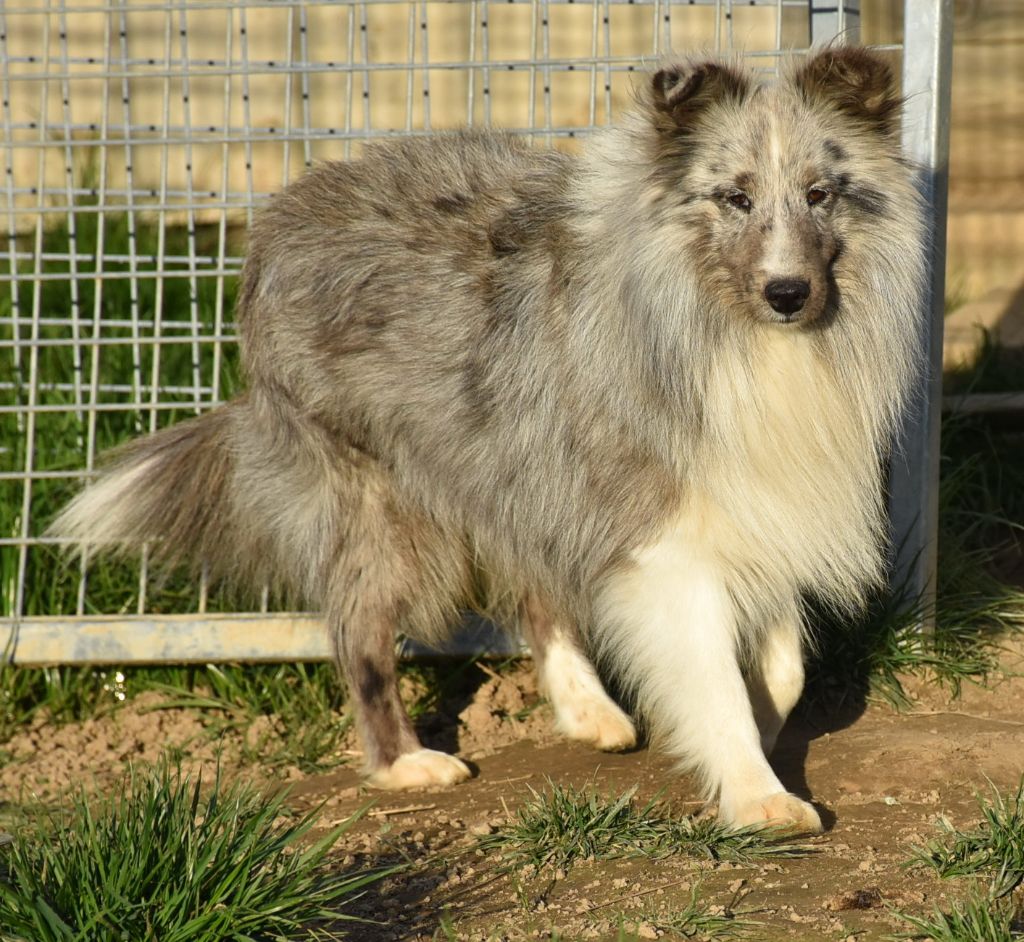 Publication : De la combe berail