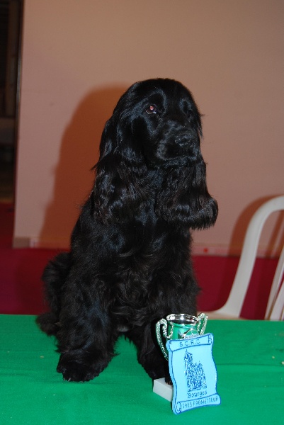 Publication : des Terres de Jal Auteur : S.Ageneau