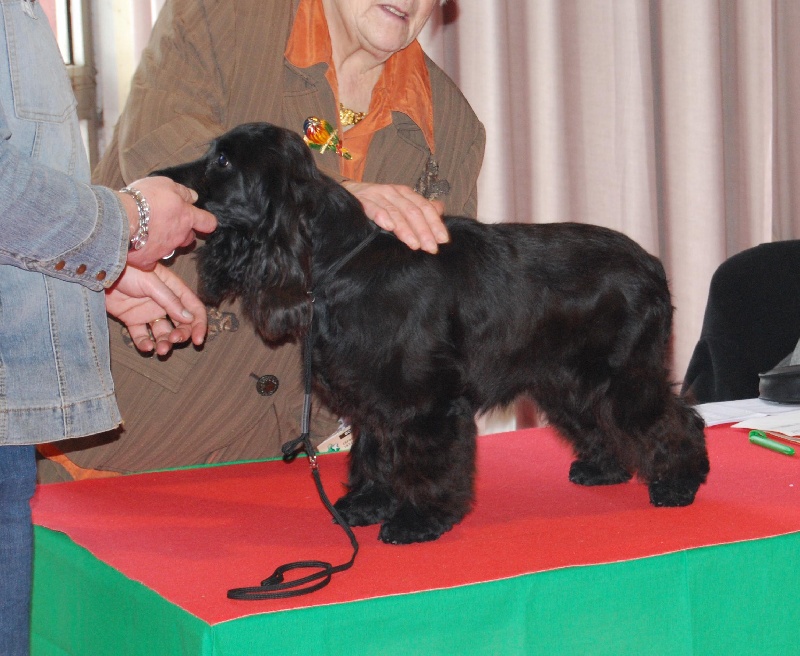 Publication : des Terres de Jal Auteur : S.Ageneau