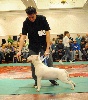 Untitled Earth intruders - 2nd in class 6 : Limit Dog