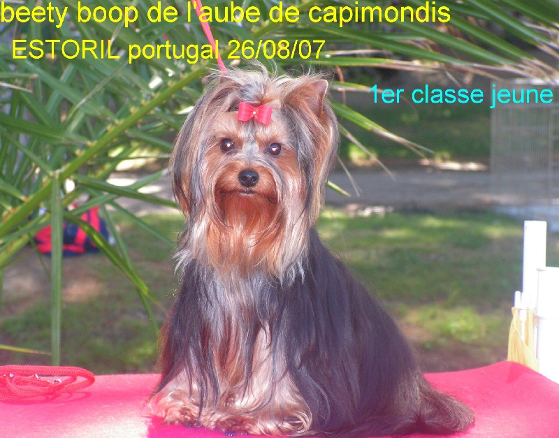 Publication : de l'Aube de Capimondis