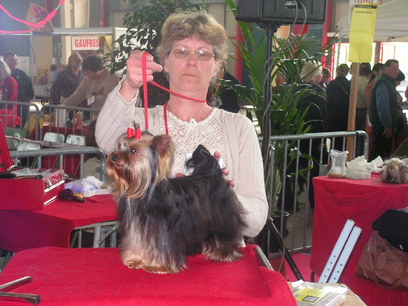 Publication : de l'Aube de Capimondis