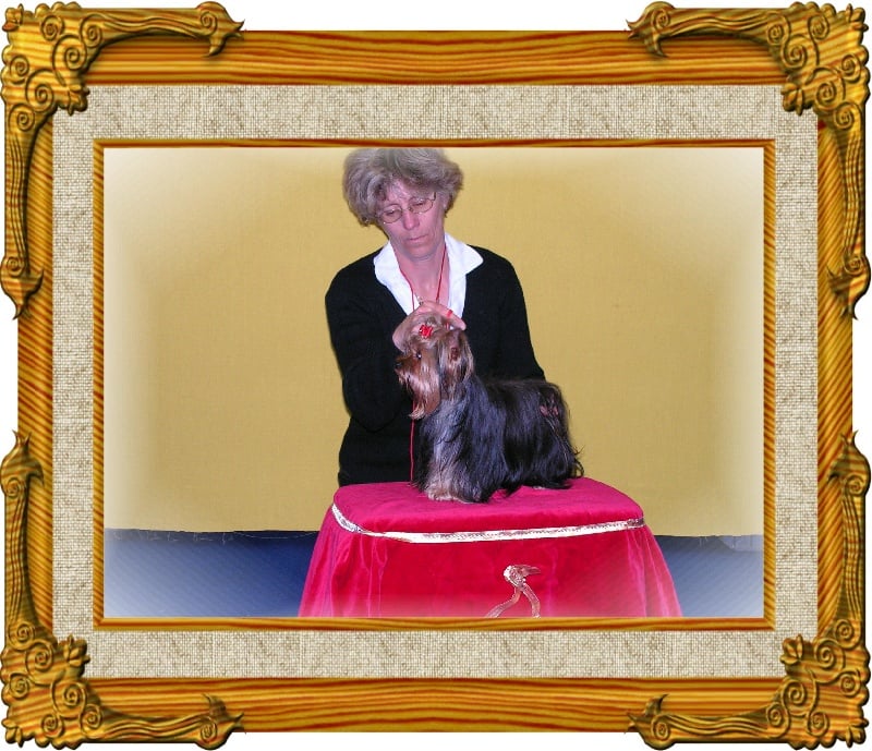 Publication : de l'Aube de Capimondis