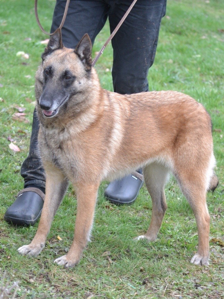 Publication : du Domaine de Vauroux Auteur : EM