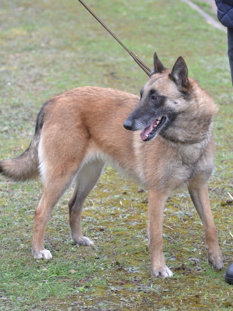 Publication : du Domaine de Vauroux Auteur : EM