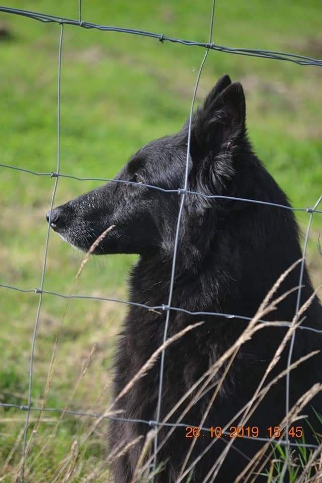 Islande du Domaine de Vauroux
