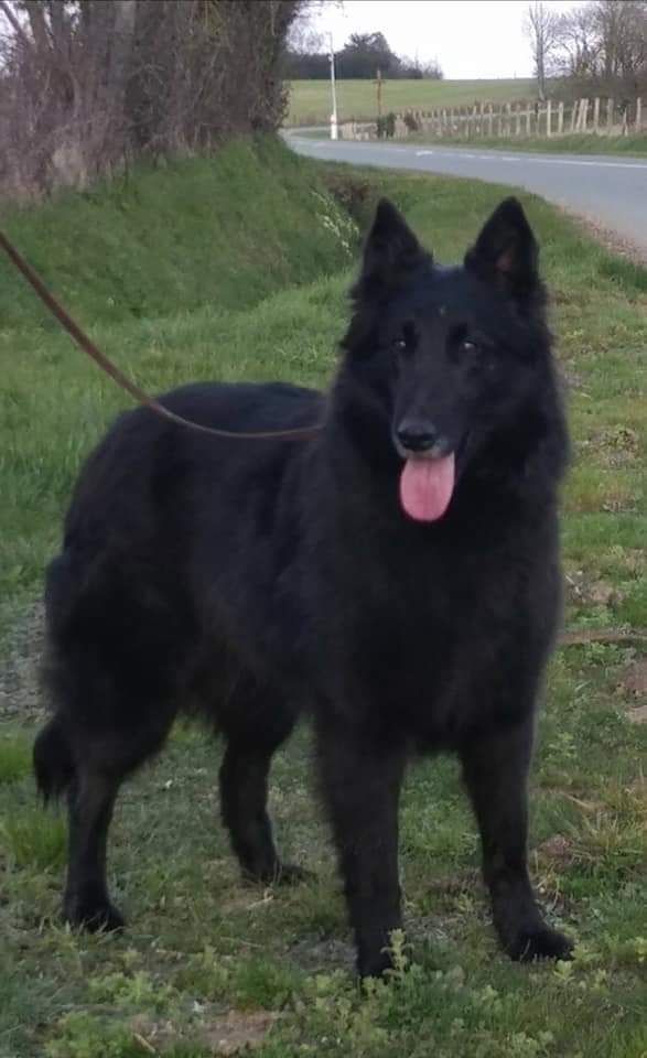 Islande du Domaine de Vauroux