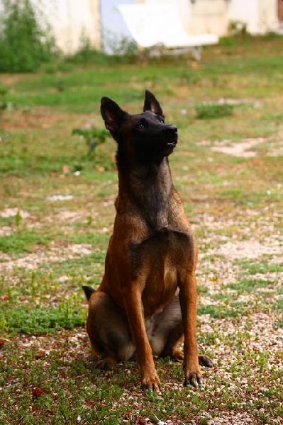 Publication : du Domaine de Vauroux Auteur : Stepahnie SOLA