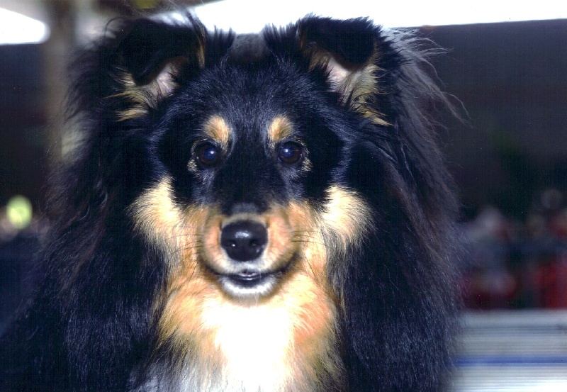 Farceur jusqu'au bout de l'inoubliable chemin - 2 eme Excellent (classe jeune)