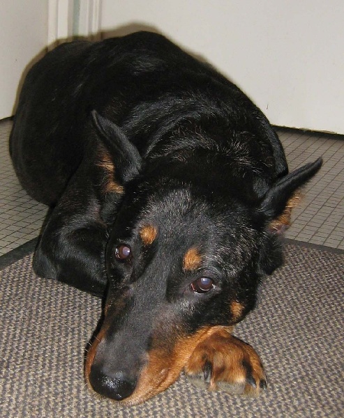 Publication : de l'Abyss du Bout des Terres