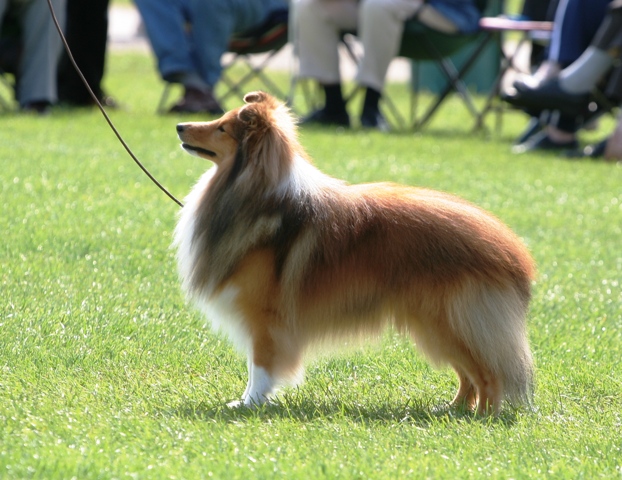 Publication : Fleurdemai Auteur : Dale Fitzwater