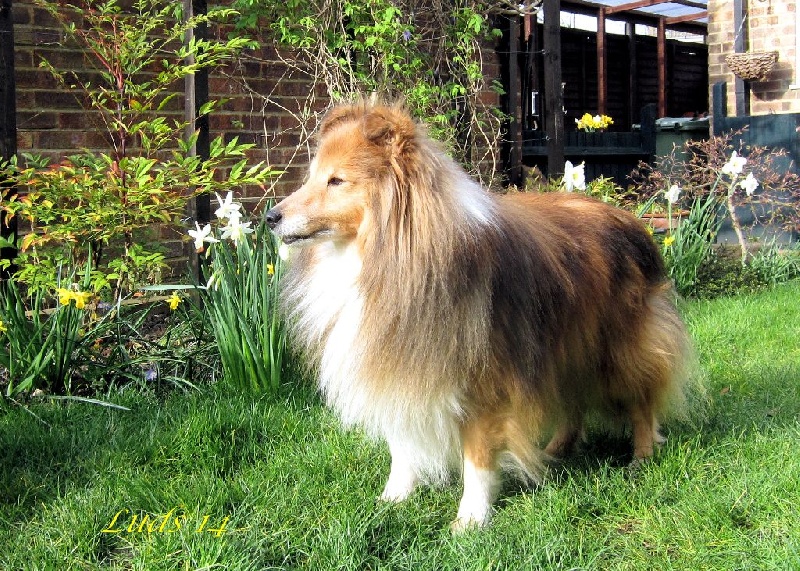 Publication : Fleurdemai Auteur : Dale Fitzwater