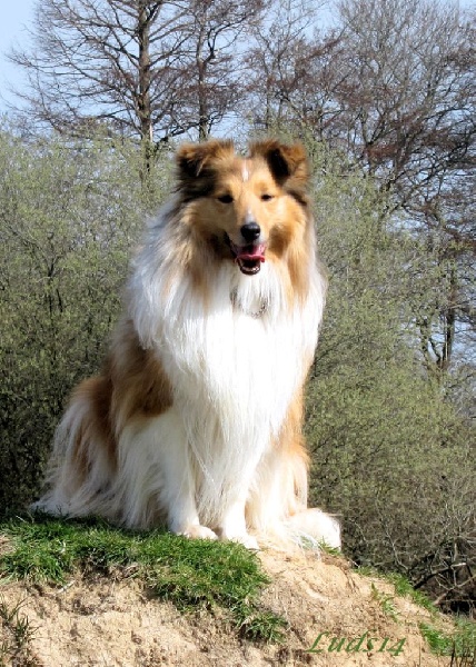 Publication : Fleurdemai Auteur : Ludivine Fitzwater