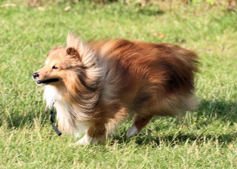 Publication : Fleurdemai Auteur : Dale Fitzwater