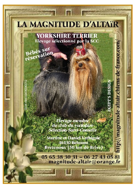 Egypt's design de la Magnitude d'Altaïr - EXCELLENT COTATION 4 EN COURS