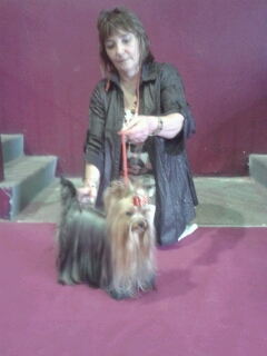 Goji bagdad memory de la Magnitude d'Altaïr - 4EME EXCELLENT CLASSE OUVERTE FEMELLE