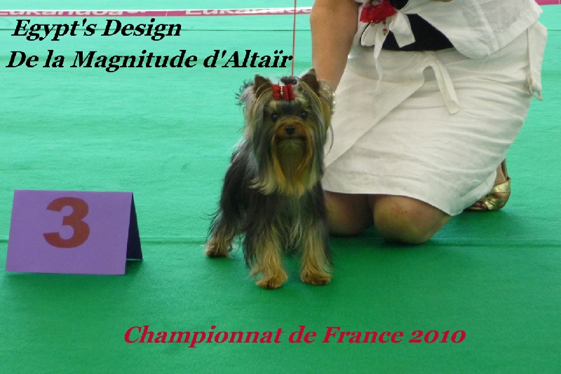 Egypt's design de la Magnitude d'Altaïr - TRES BON